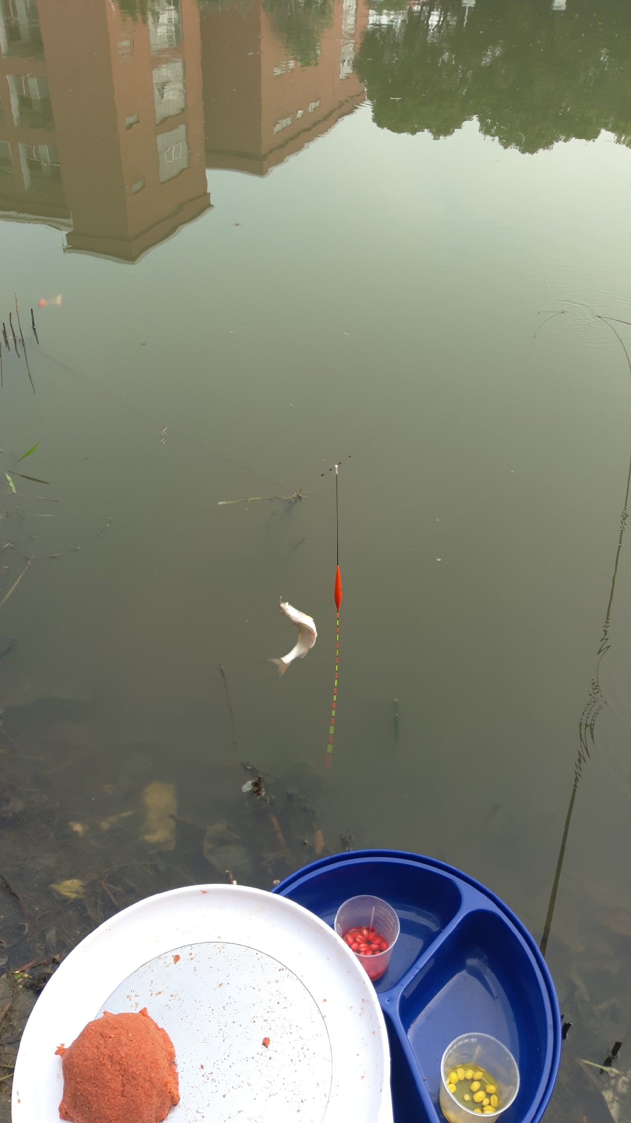 串钩钓餐条的方法与技巧,自制串钩线组教程