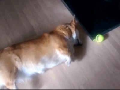 佛山国庆节假期有哪些免费景点,佛山明珠体育馆开放时间