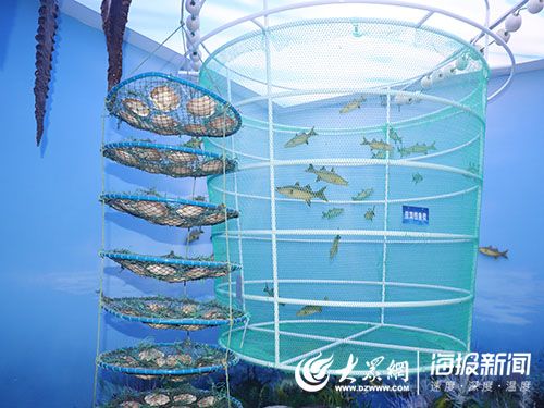 海洋人工造礁海洋牧场,海中农场