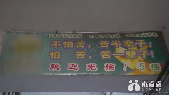 暑假教育培训现状,暑期培训班火爆热闹背后暗藏乱象