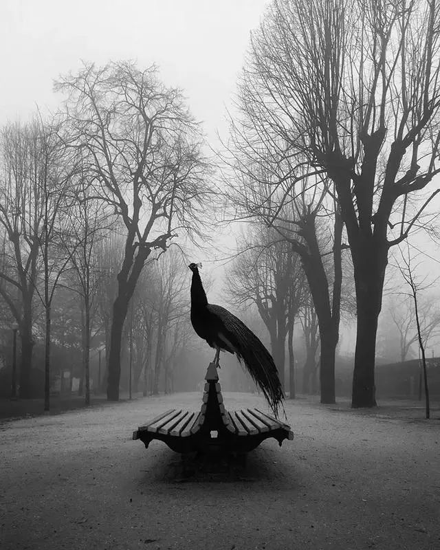 手机摄影大师级作品,手机拍出的大片风景摄影作品