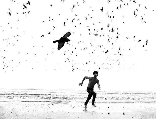 手机摄影大师级作品,手机拍出的大片风景摄影作品