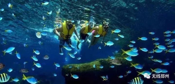 越南一日游直播,越南芽庄跟团游直播