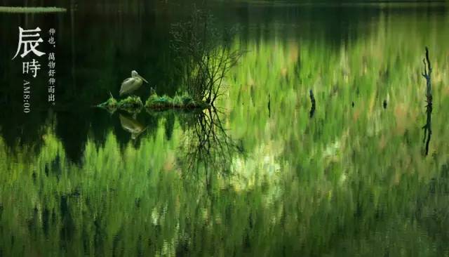 读懂中国十二时辰领悟千年大智慧,读懂了12时辰也就读懂了人