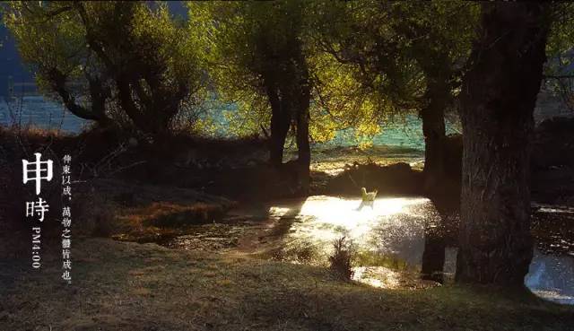 读懂中国十二时辰领悟千年大智慧,读懂了12时辰也就读懂了人