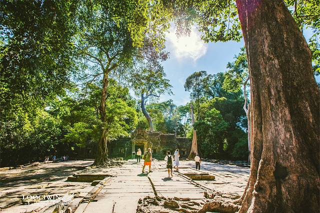 柬埔寨暹粒吴哥王朝,暹粒吴哥迷城游记