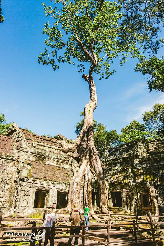 柬埔寨暹粒吴哥王朝,暹粒吴哥迷城游记