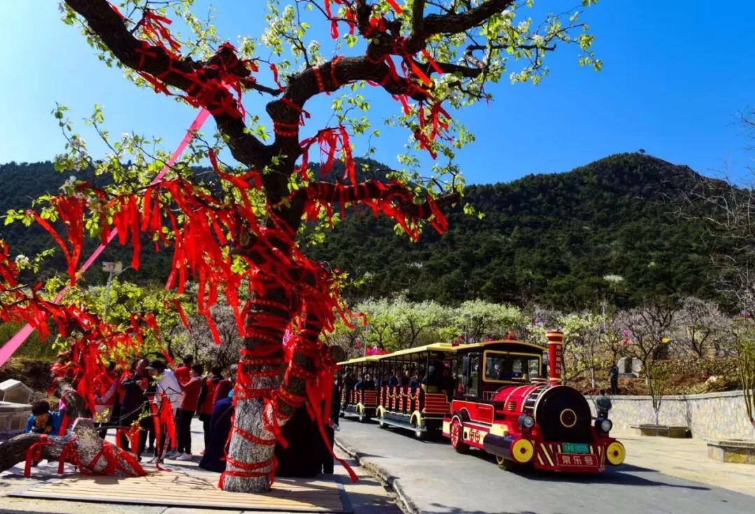 遵化市好声音,遵化好声音