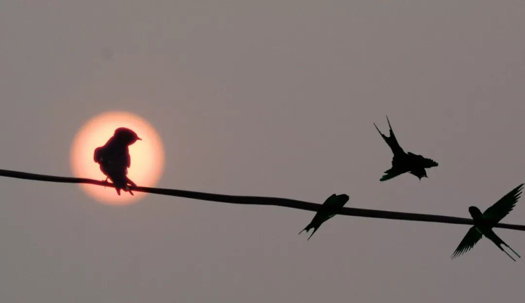 栾城区各村人口,栾城县各镇人口排名