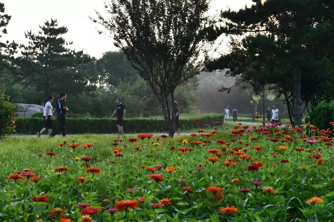 栾城区各村人口,栾城县各镇人口排名