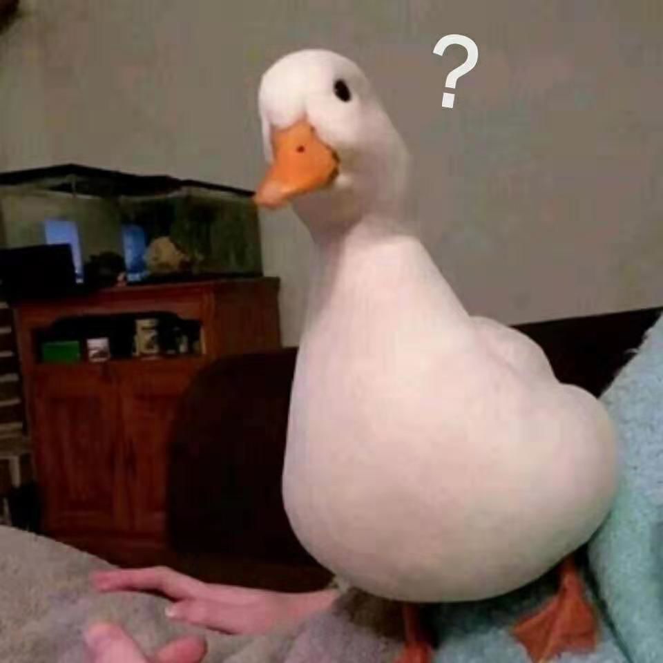 发钱啦！不限户籍！最高8.8万！驻马店这些人可以领到这笔钱！