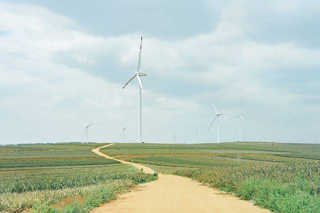 大陆之南，粤西越美，被旅行者忽略的处女地——雷州半岛