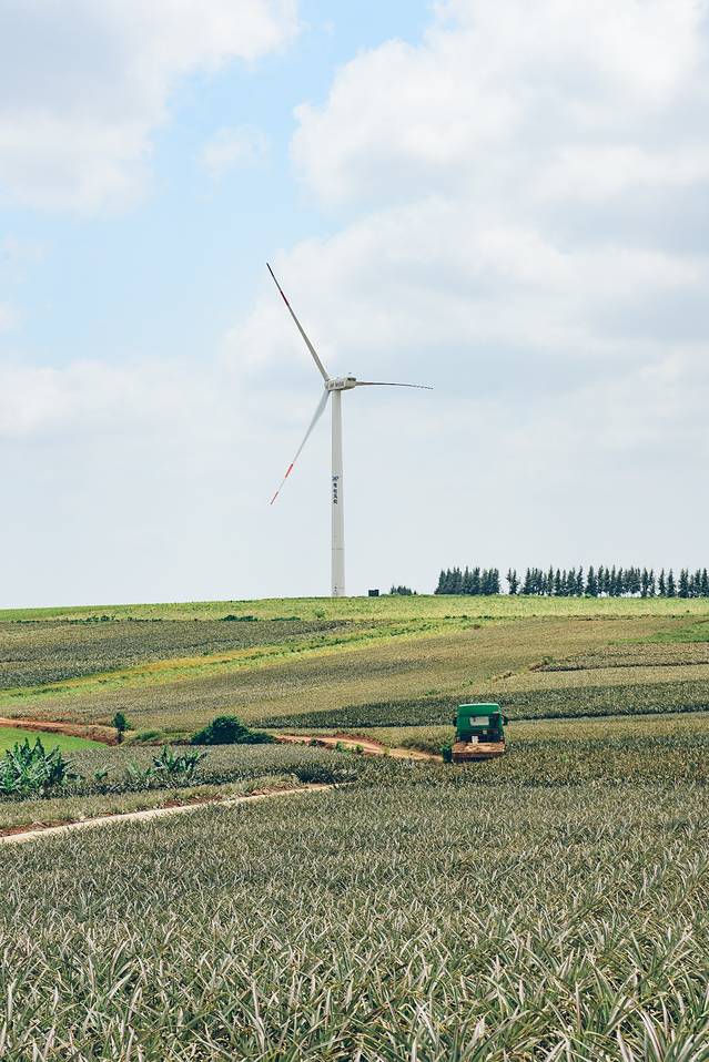 大陆之南，粤西越美，被旅行者忽略的处女地——雷州半岛