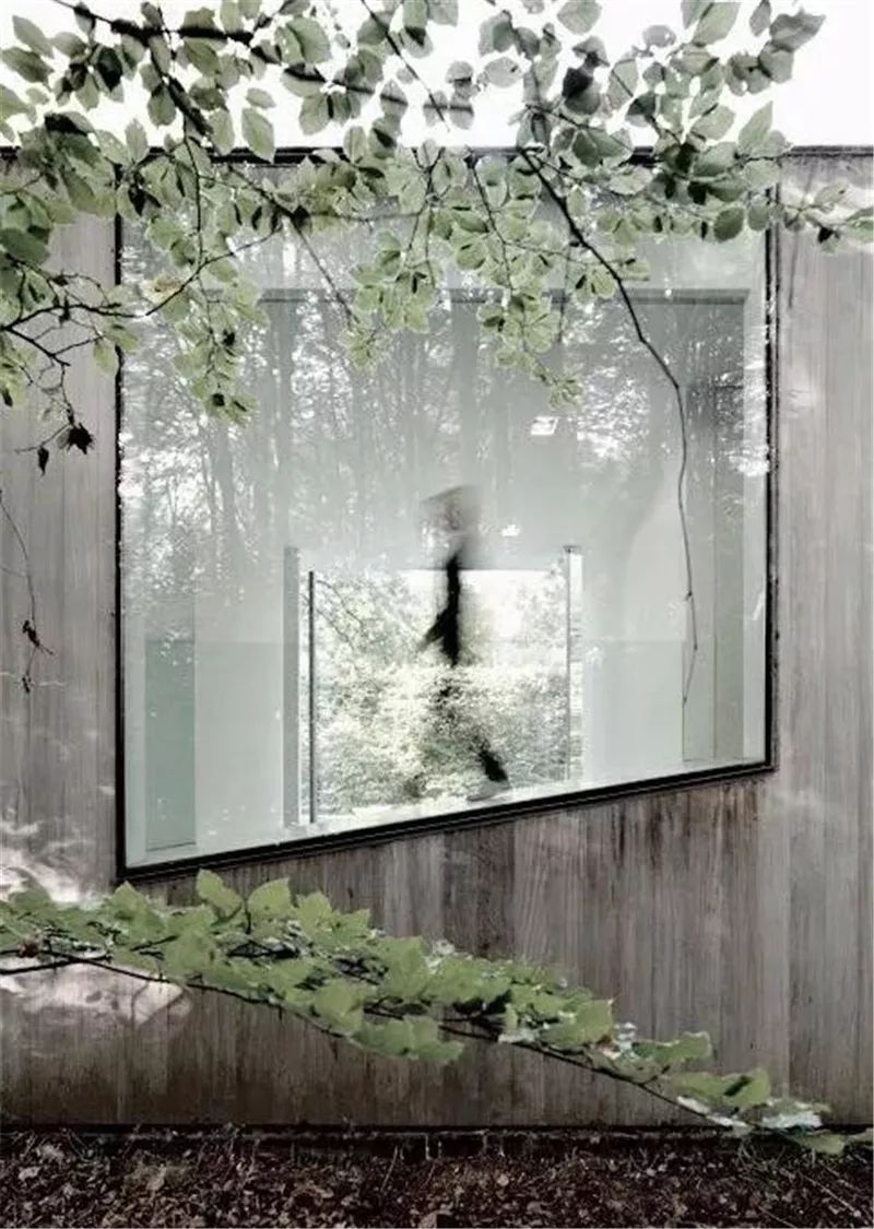 两块钱的水泥做出50元的效果,水泥全是绿色可以做什么