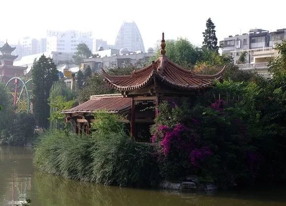 曲靖全国十大宜居城市第一,曲靖荣获多少次全国十大宜居城市