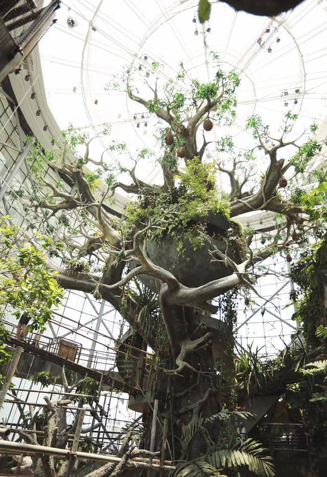 迪拜旅游自由行七日游,迪拜旅游11日自由行攻略最新