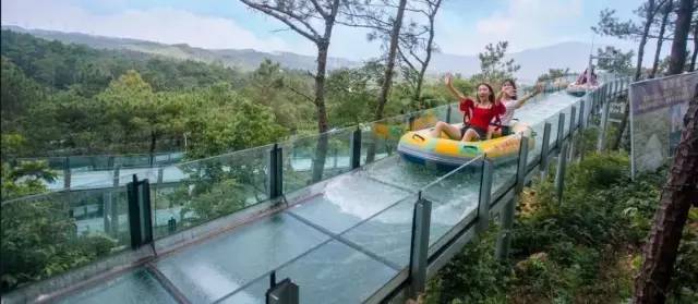 2022洛阳免费景区,一月洛阳景区免门票怎么操作