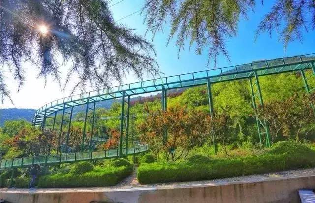 2022洛阳免费景区,一月洛阳景区免门票怎么操作