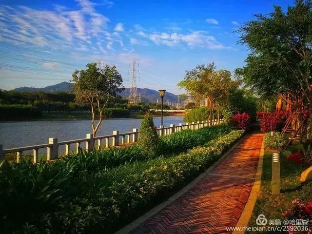 厦门哪些免门票景点好玩,厦门哪里好玩又免费的景点推荐