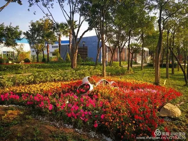 厦门哪些免门票景点好玩,厦门哪里好玩又免费的景点推荐