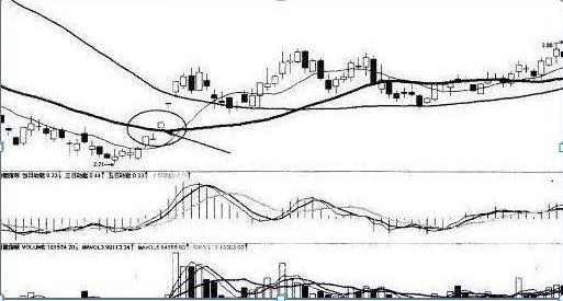 徐翔怎么躲过黑天鹅事件,私募大佬徐翔传奇