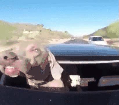 留学生归国必看免税车超详攻略,留学生回国免税车要交保险吗