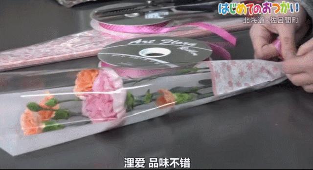 日本跟拍29年的神作，建议你谨慎观看