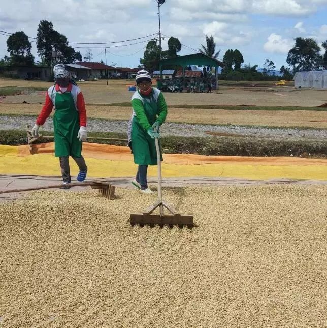 印度尼西亚属于哪个洲,泰国新加坡印度尼西亚