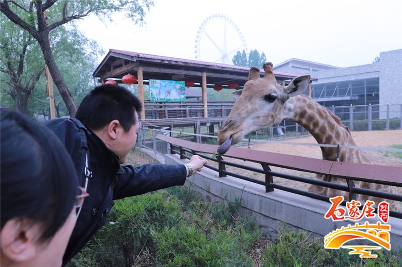 七夕约会圣地河北,七夕去哪儿约会石家庄