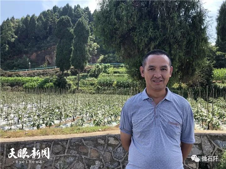 石阡聚凤：大坝蔬菜产销两旺