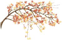 加拿大阿尔伯塔大学留学生活纪实,加拿大阿尔伯塔大学