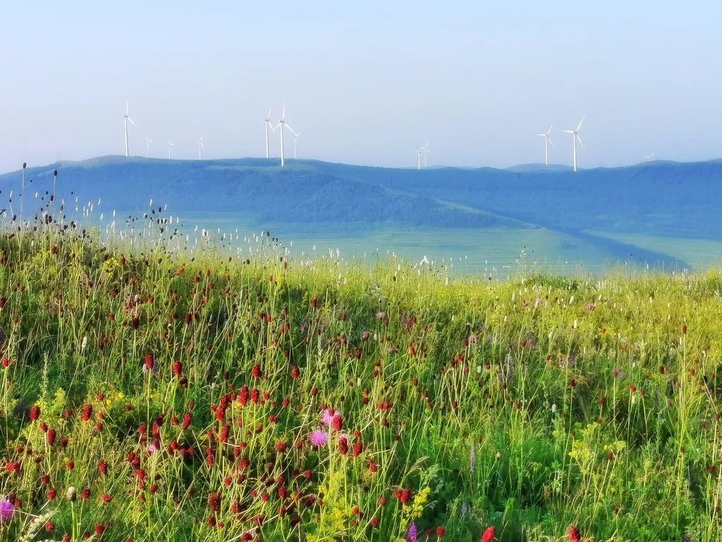 立秋宜下雨还是天晴,这是立秋后最凉快的一天