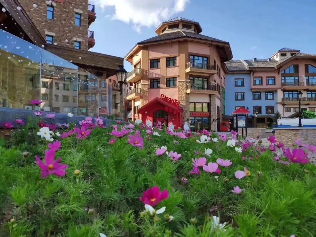 立秋宜下雨还是天晴,这是立秋后最凉快的一天