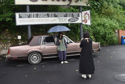 广州湿地公园网红打卡地,广州春风十里网红打卡地