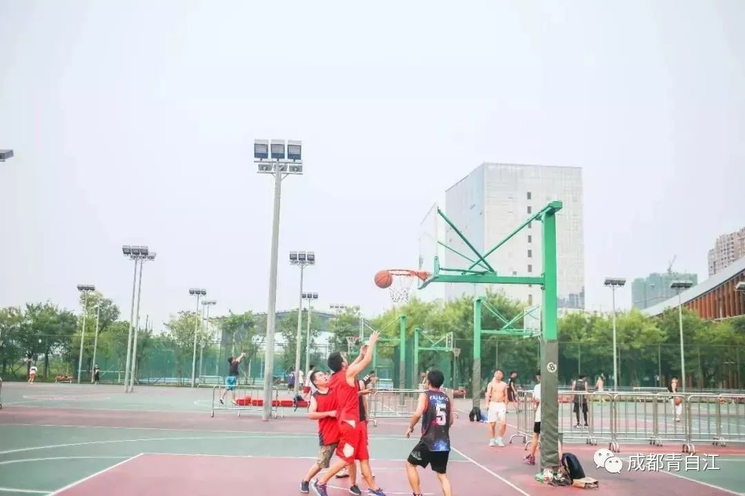 青白江健身训练营,八月健身馆