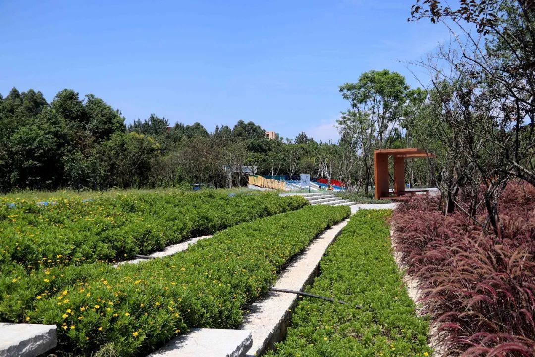 青白江健身训练营,八月健身馆