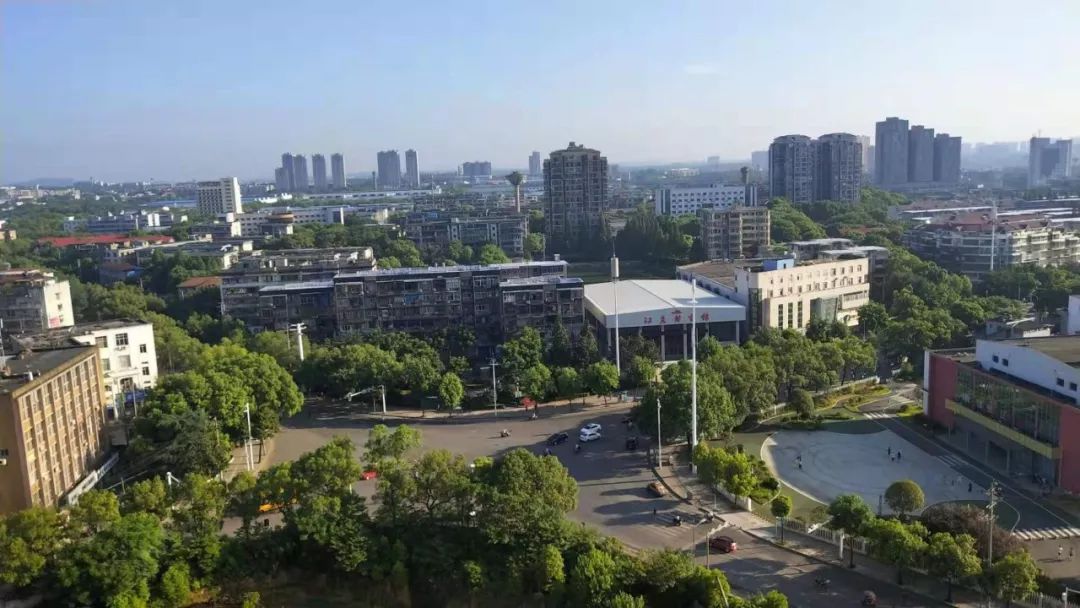 国庆节阅兵装甲方队有哪些,国庆节阅兵装甲部队