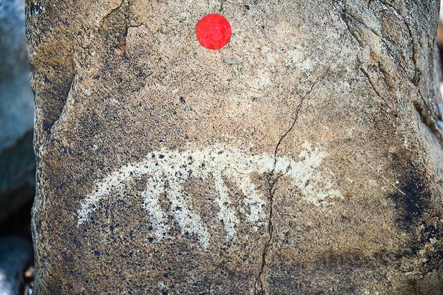 北纬38度仰望星空，每个人都拥有头顶，为什么却看不到星空