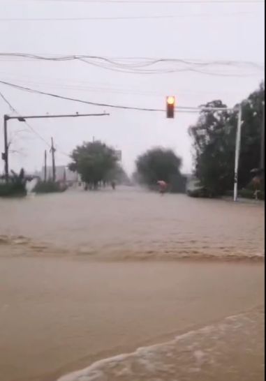 最新！利奇马或在海阳登陆！烟台暴风雨来了，山东全面进入应急状态：停业、停课！