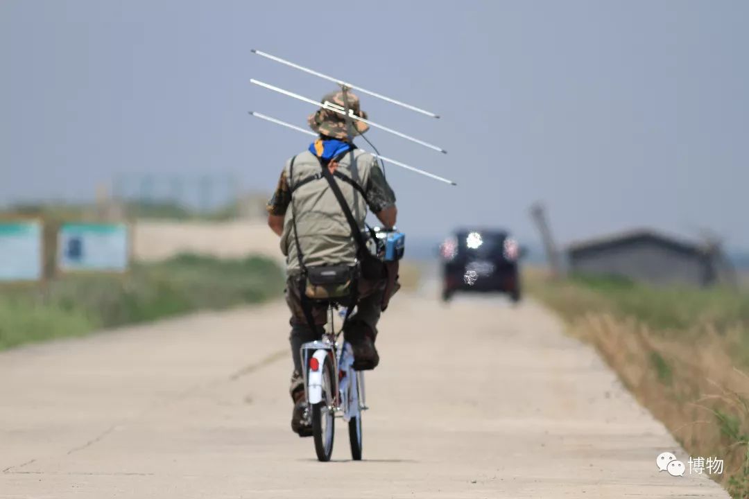 想研究野生动物？看看学这个专业的人都在干嘛吧