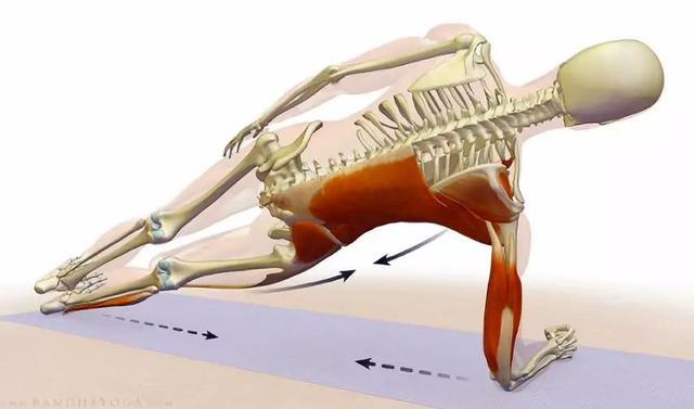 平板支撑可以练腹直肌吗,平板支撑每天练多久合适