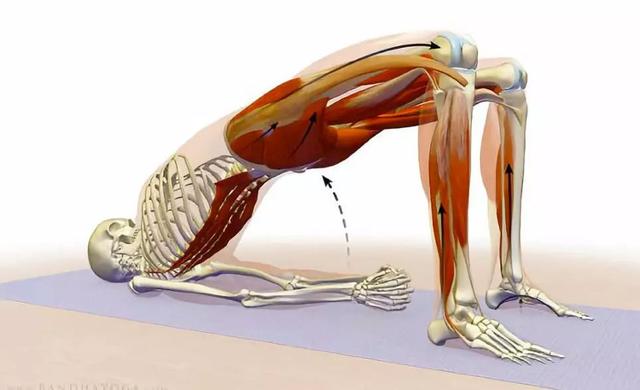 平板支撑可以练腹直肌吗,平板支撑每天练多久合适
