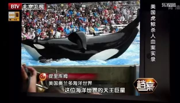 丧心病狂！每帧画面都在捅刀子，多少人忽视了这些人间惨剧…