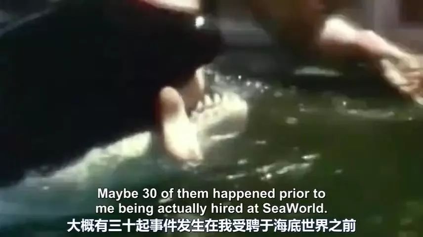 丧心病狂！每帧画面都在捅刀子，多少人忽视了这些人间惨剧…