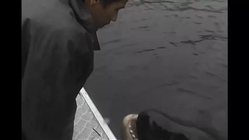 丧心病狂！每帧画面都在捅刀子，多少人忽视了这些人间惨剧…