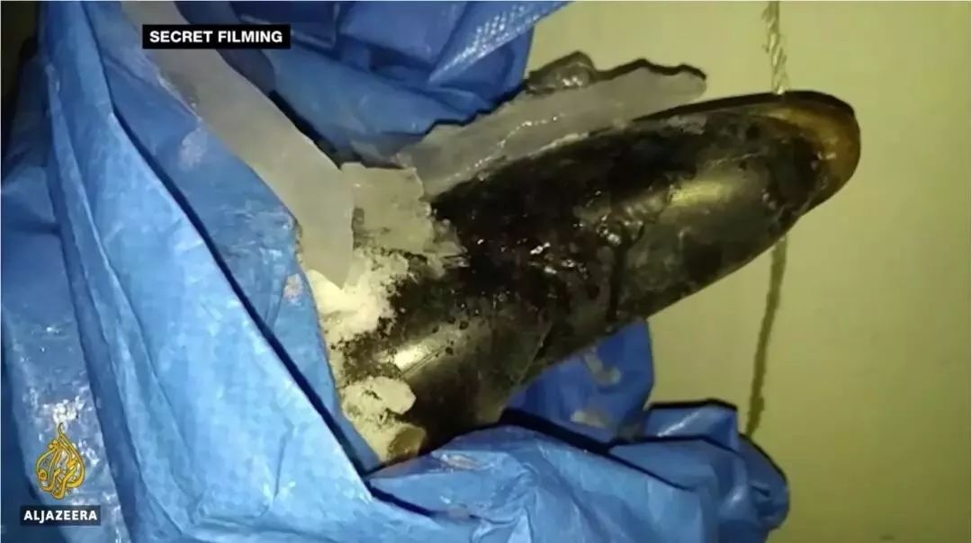 丧心病狂！每帧画面都在捅刀子，多少人忽视了这些人间惨剧…