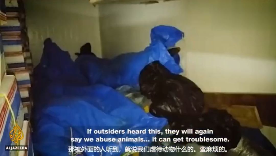 丧心病狂！每帧画面都在捅刀子，多少人忽视了这些人间惨剧…