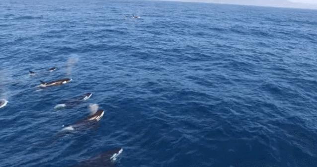 丧心病狂！每帧画面都在捅刀子，多少人忽视了这些人间惨剧…