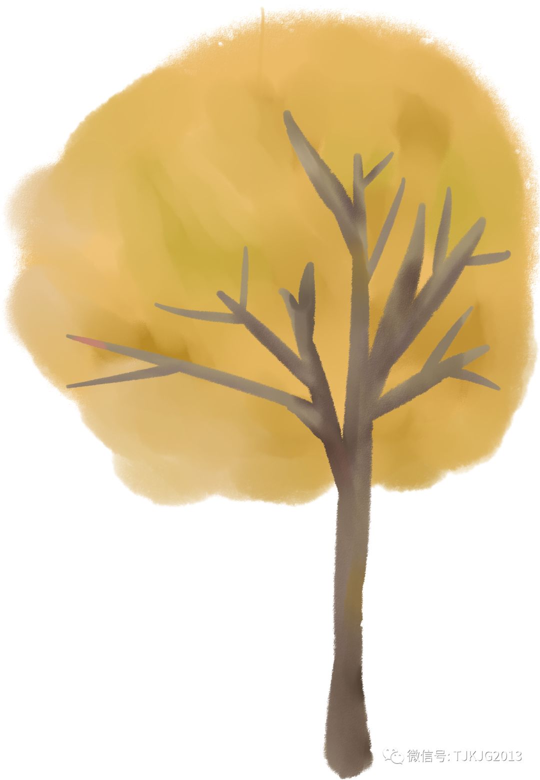 活动预告：天津科技馆天文讲堂2019年第四期《夜空中最值得欣赏的星星》