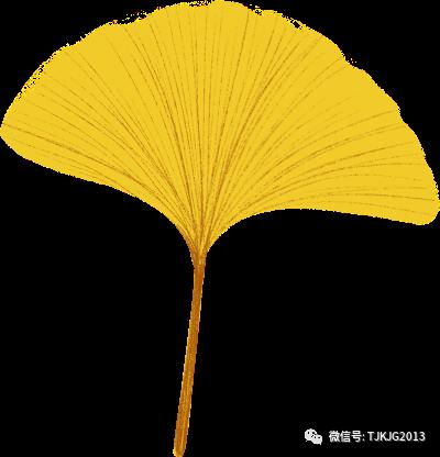 活动预告：天津科技馆天文讲堂2019年第四期《夜空中最值得欣赏的星星》